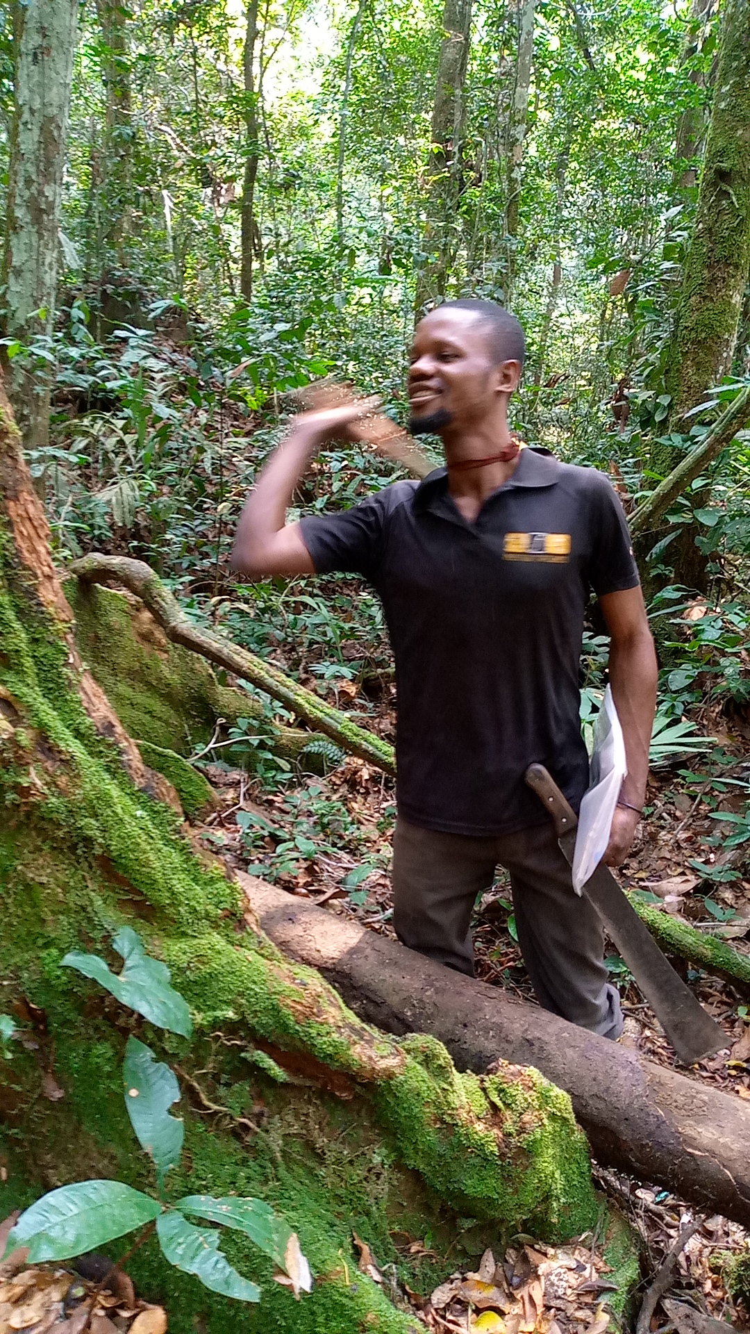 Gestion durable des forêts à Bikoro