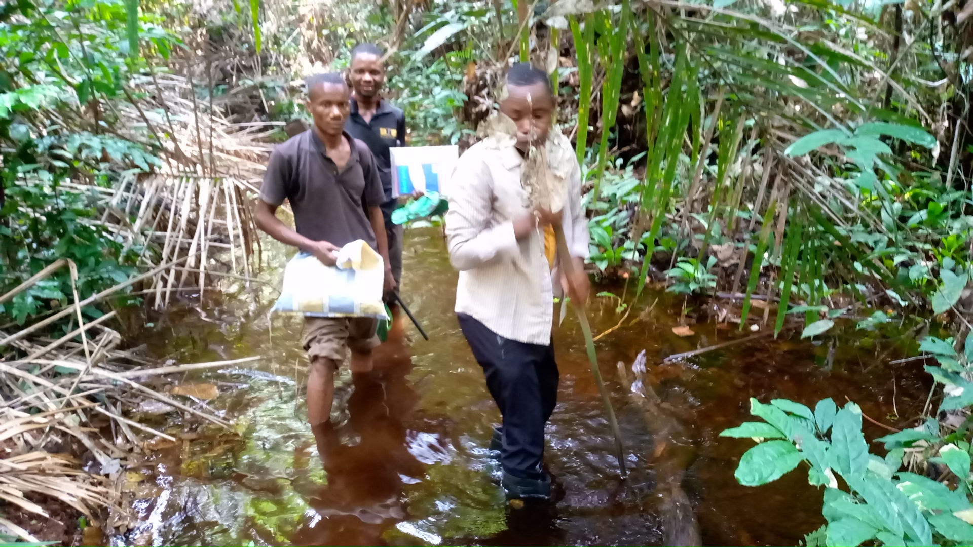 Gestion durable des forêts à Bikoro - Photo 2