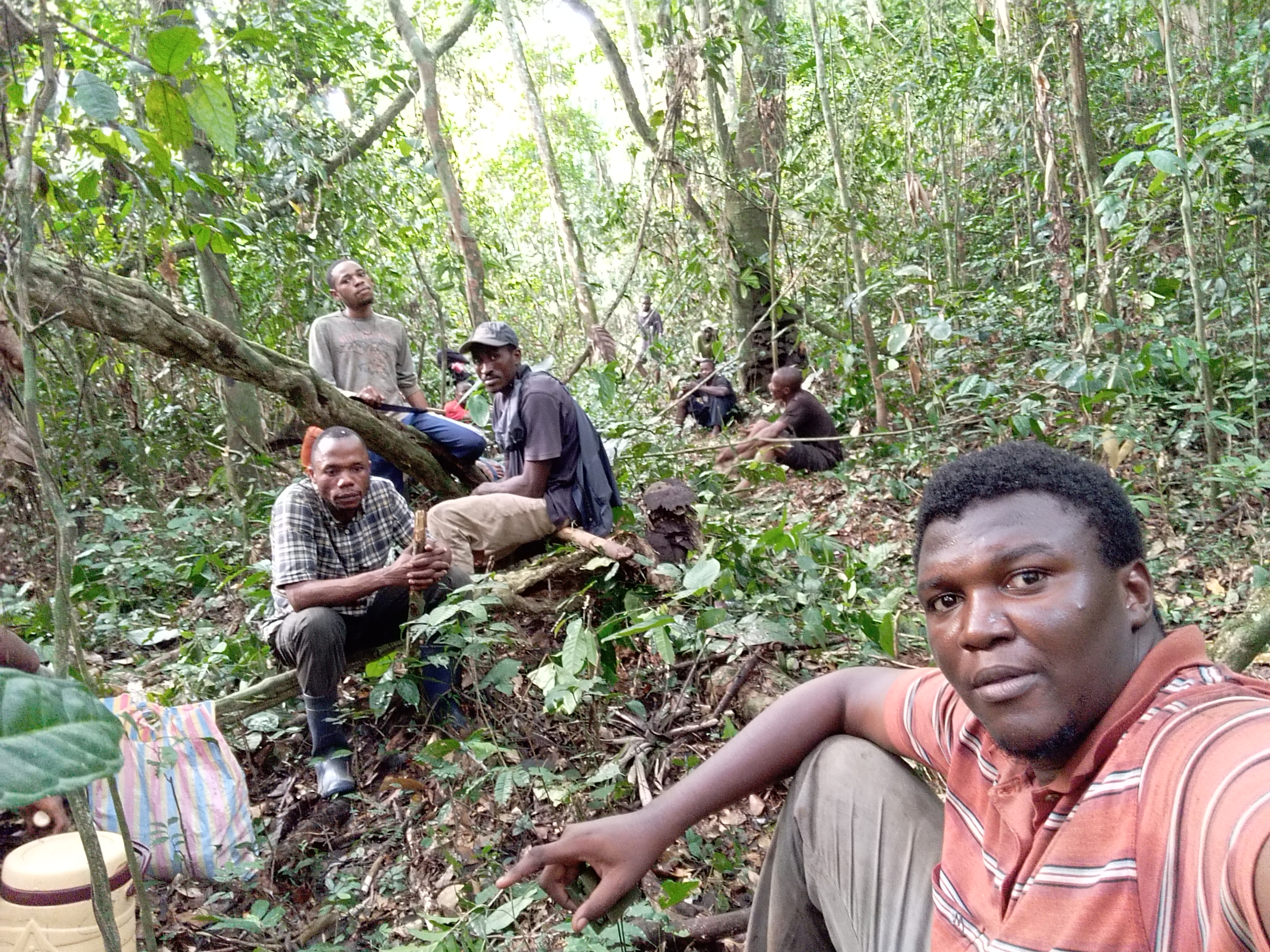Gestion durable des forêts à Bikoro - Photo 5